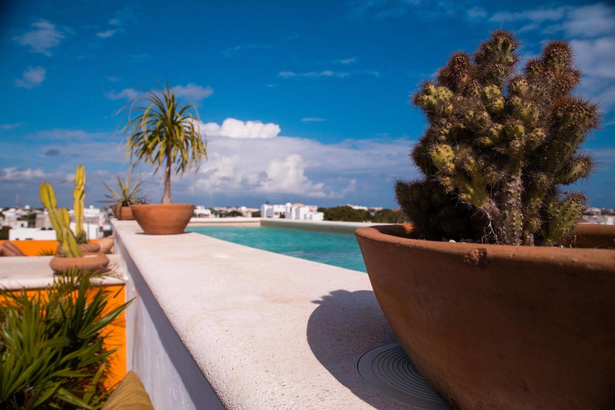 La Galeria By Bunik Hotel Playa del Carmen Luaran gambar