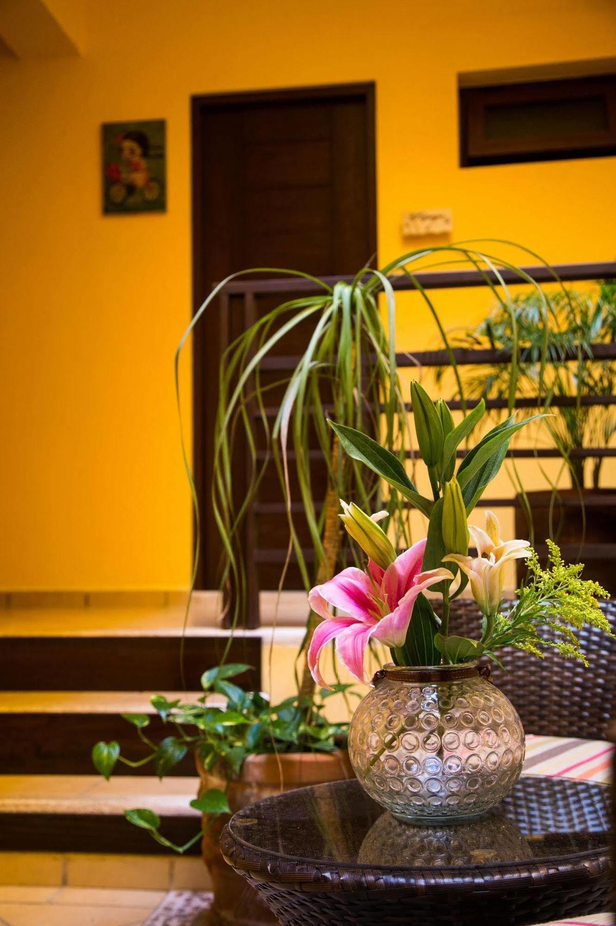 La Galeria By Bunik Hotel Playa del Carmen Luaran gambar